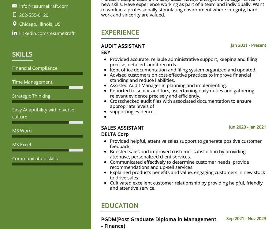 Audit Assistant CV Example in 2024 - ResumeKraft