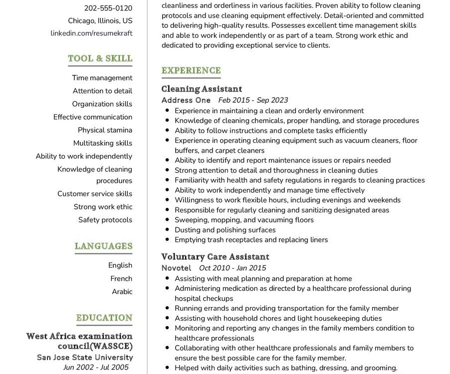 Cleaning Assistant CV Example
