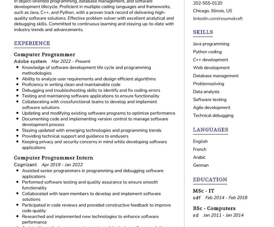 Computer Programmer Resume Sample in 2024 - ResumeKraft