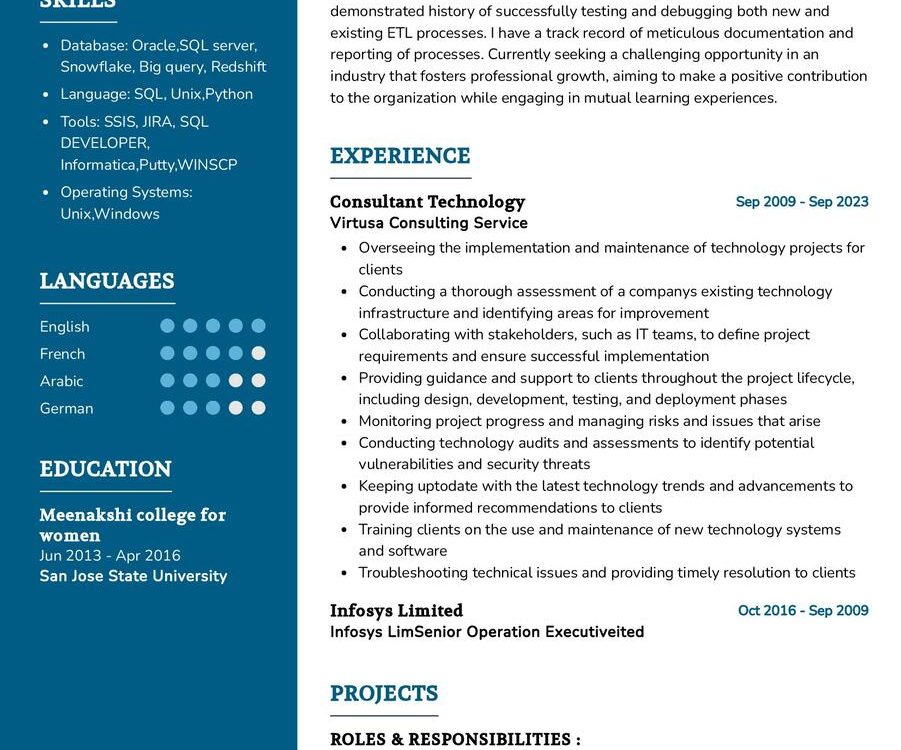 Consultant Technology Resume Sample