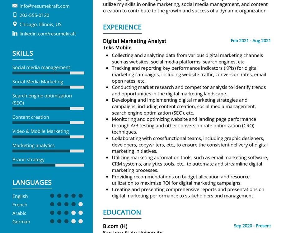 Digital Marketing Analyst Resume Sample