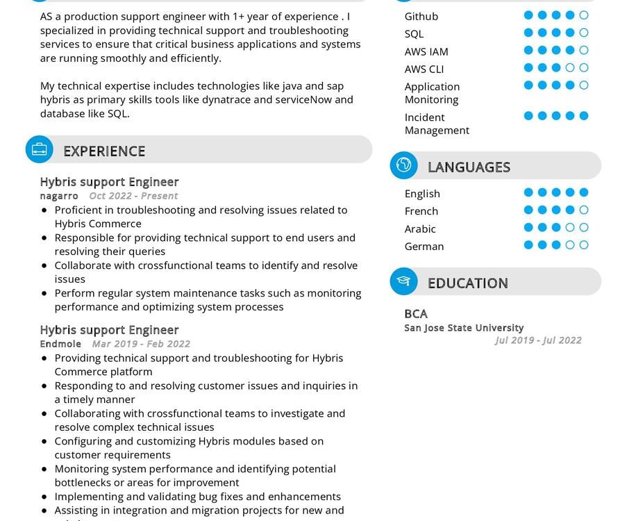 Hybris Support Engineer Resume Sample