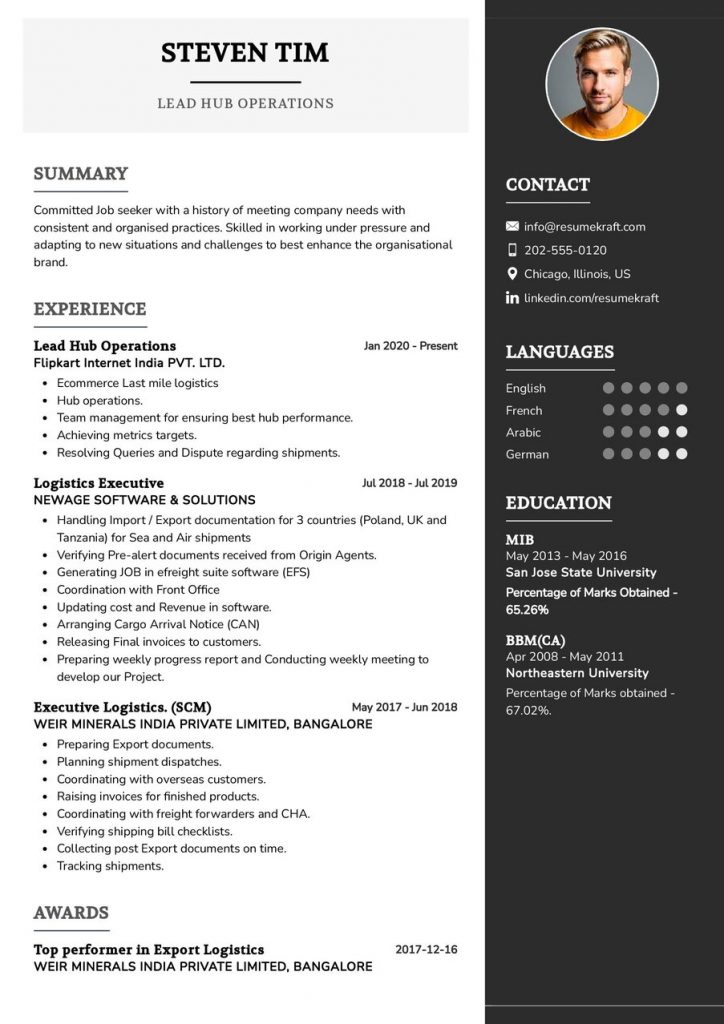 2200+ Professional Resume Samples in 2024 ResumeKraft