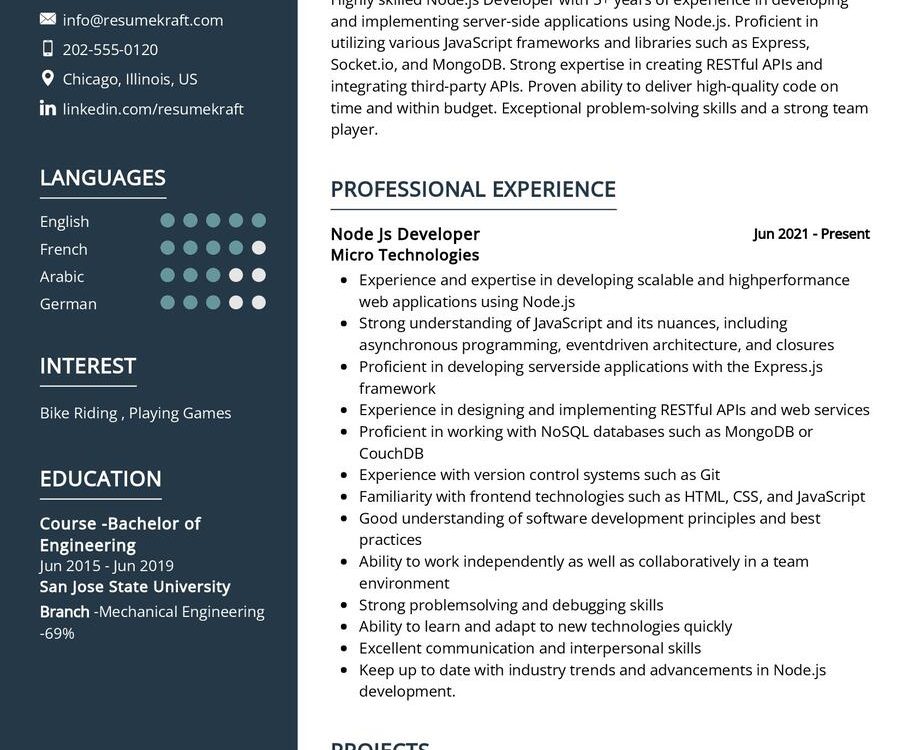 Node JS Developer CV Sample in 2024 - ResumeKraft