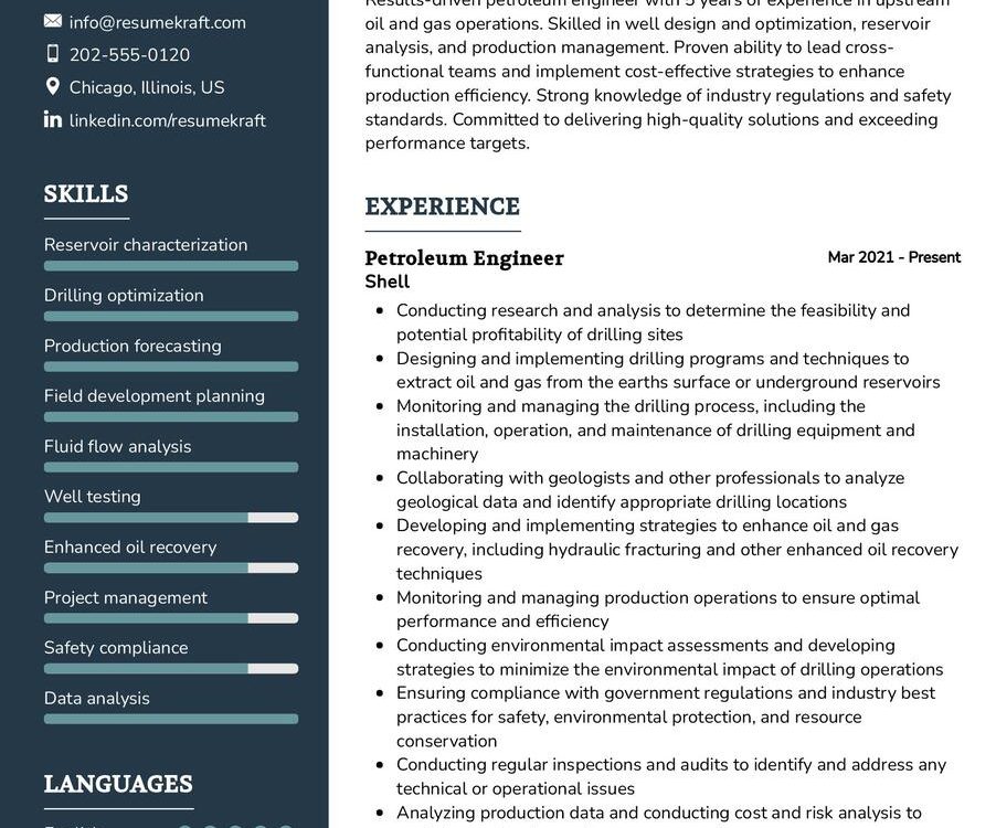 Petroleum Engineer Resume Sample