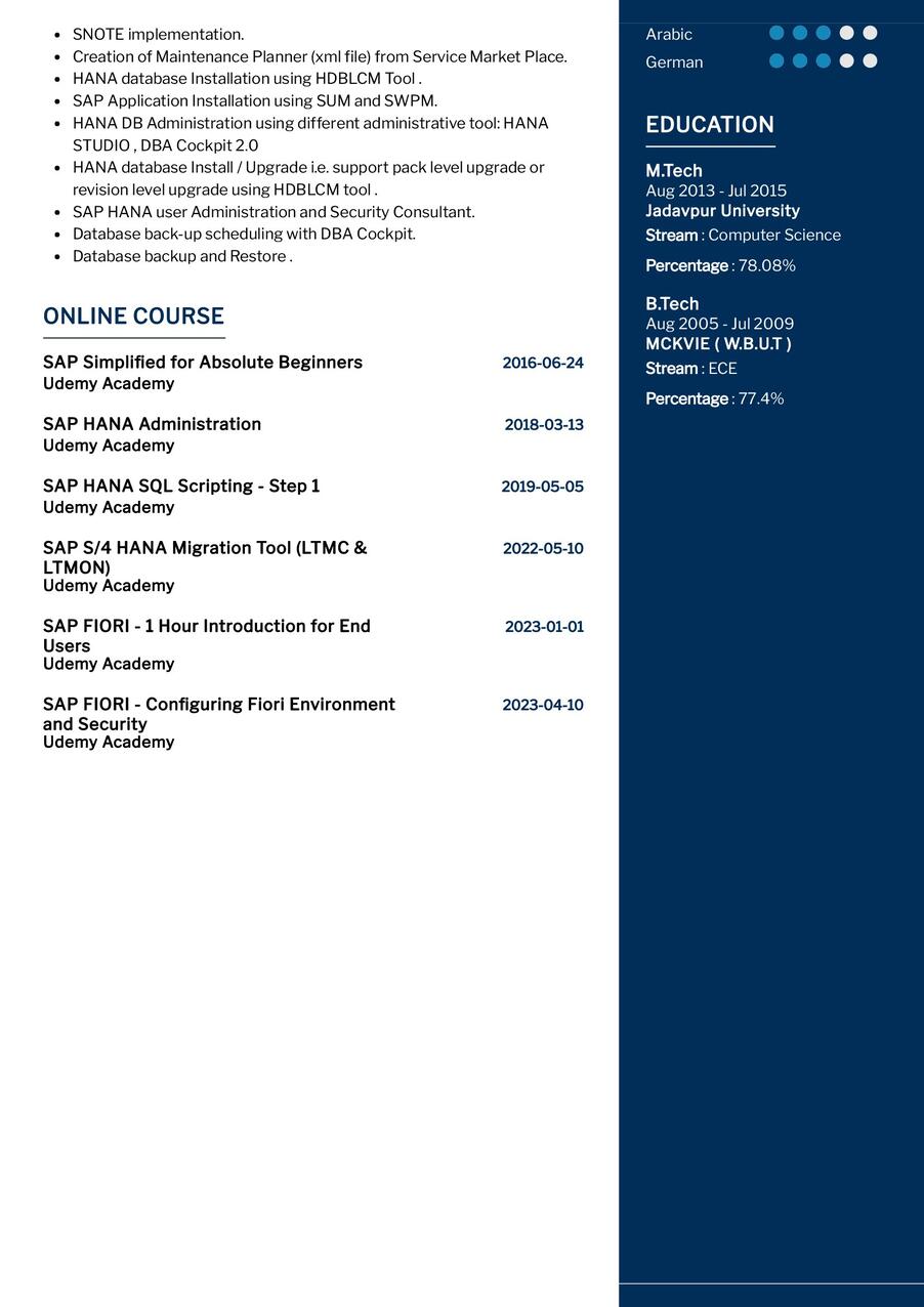 Sap Basis Consultant Cv Example In Resumekraft