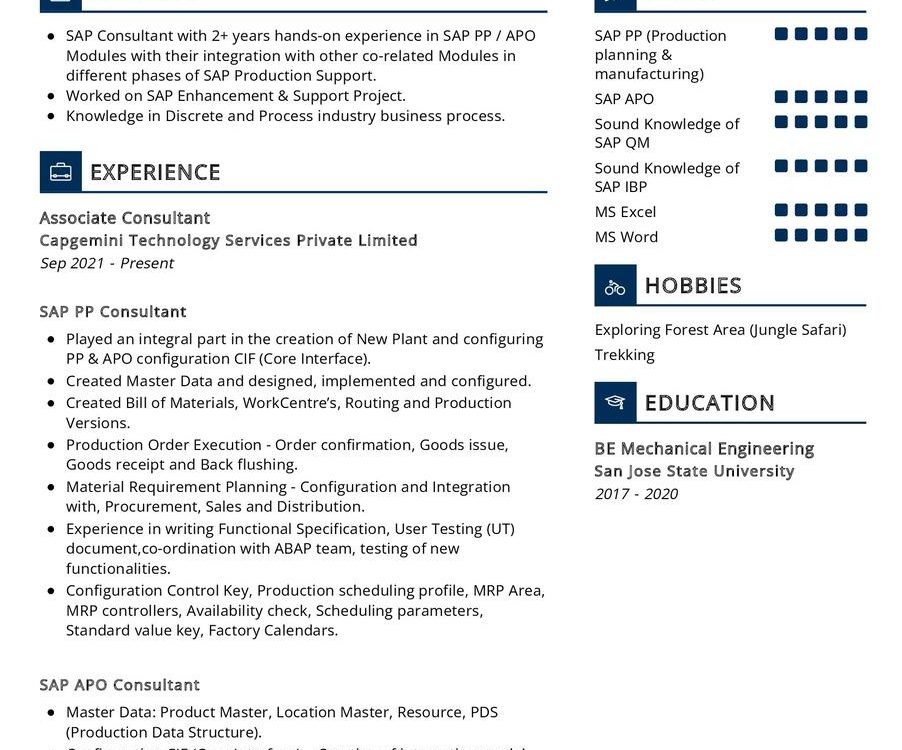 SAP PP_APO Consultant CV Example