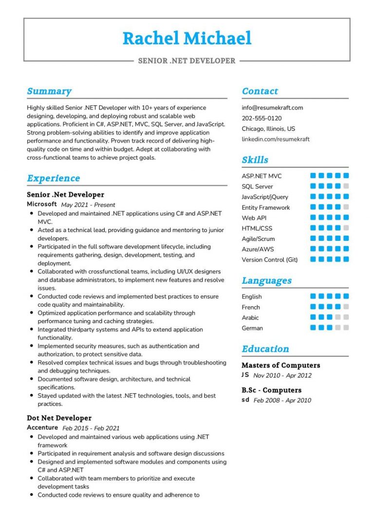 2200+ Professional Resume Samples in 2024 | ResumeKraft