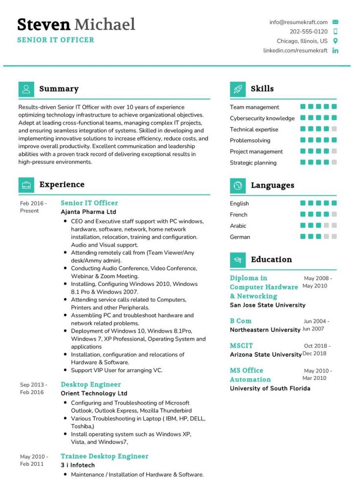 2200+ Professional Resume Samples in 2024 | ResumeKraft