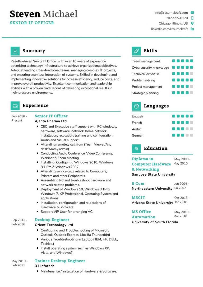 2200+ Professional Resume Samples in 2024 | ResumeKraft