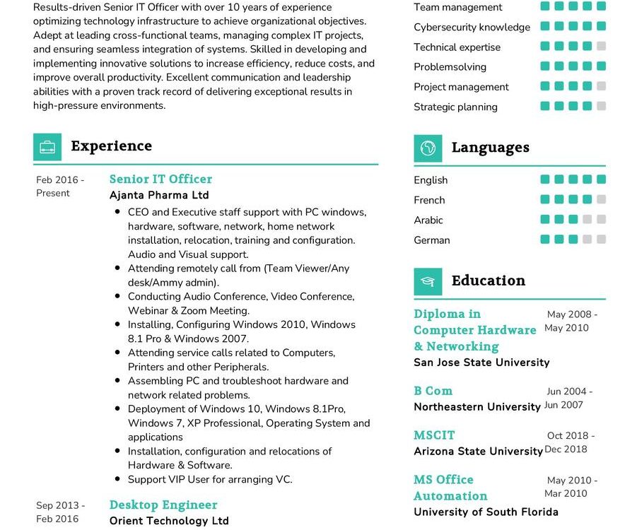 Senior IT Officer CV Sample in 2024 - ResumeKraft