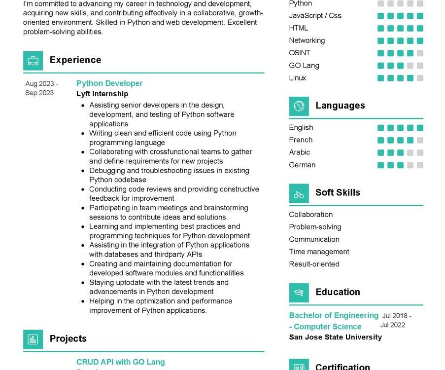 Software Engineer Intern CV Example in 2024 - ResumeKraft