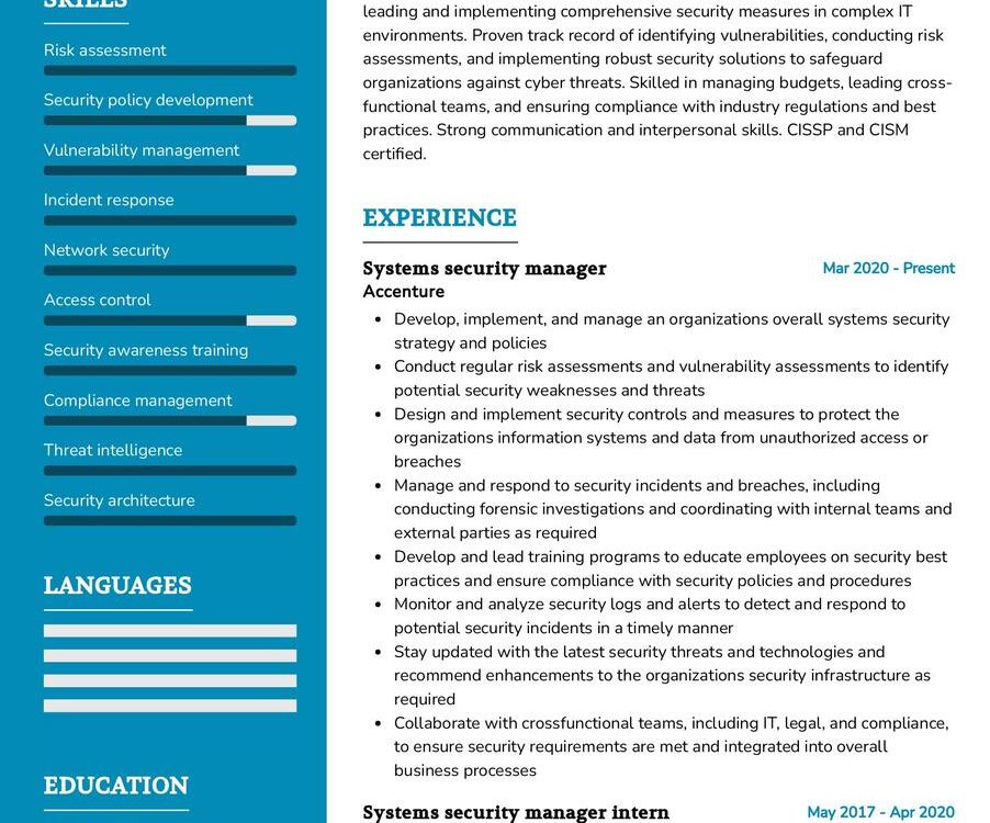 Systems Security Manager Resume Sample
