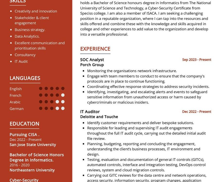 Technology Risk Analyst CV Sample