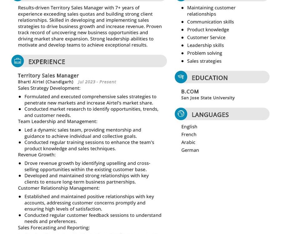 Territory Sales Manager CV Sample in 2024 - ResumeKraft