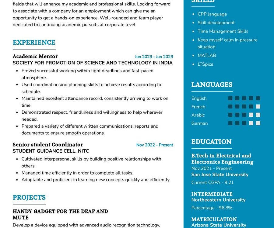 Undergraduate Student CV Example