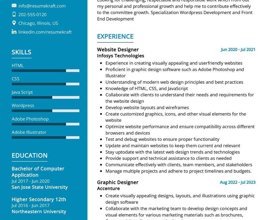 Website Designer CV Sample