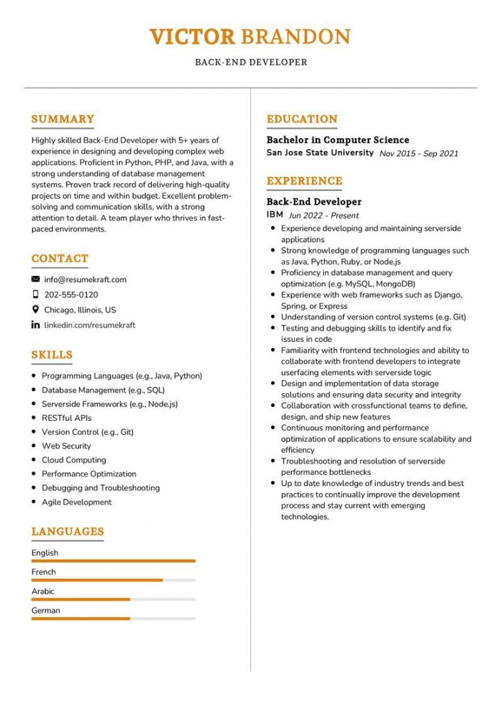 2200+ Professional Resume Samples In 2024 