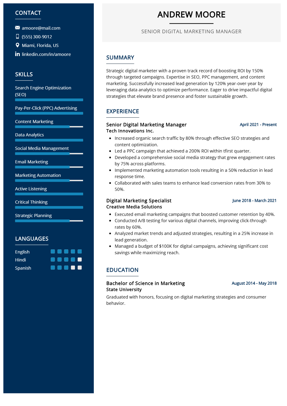 Senior Digital Marketing Manager Resume - Resume Sample
