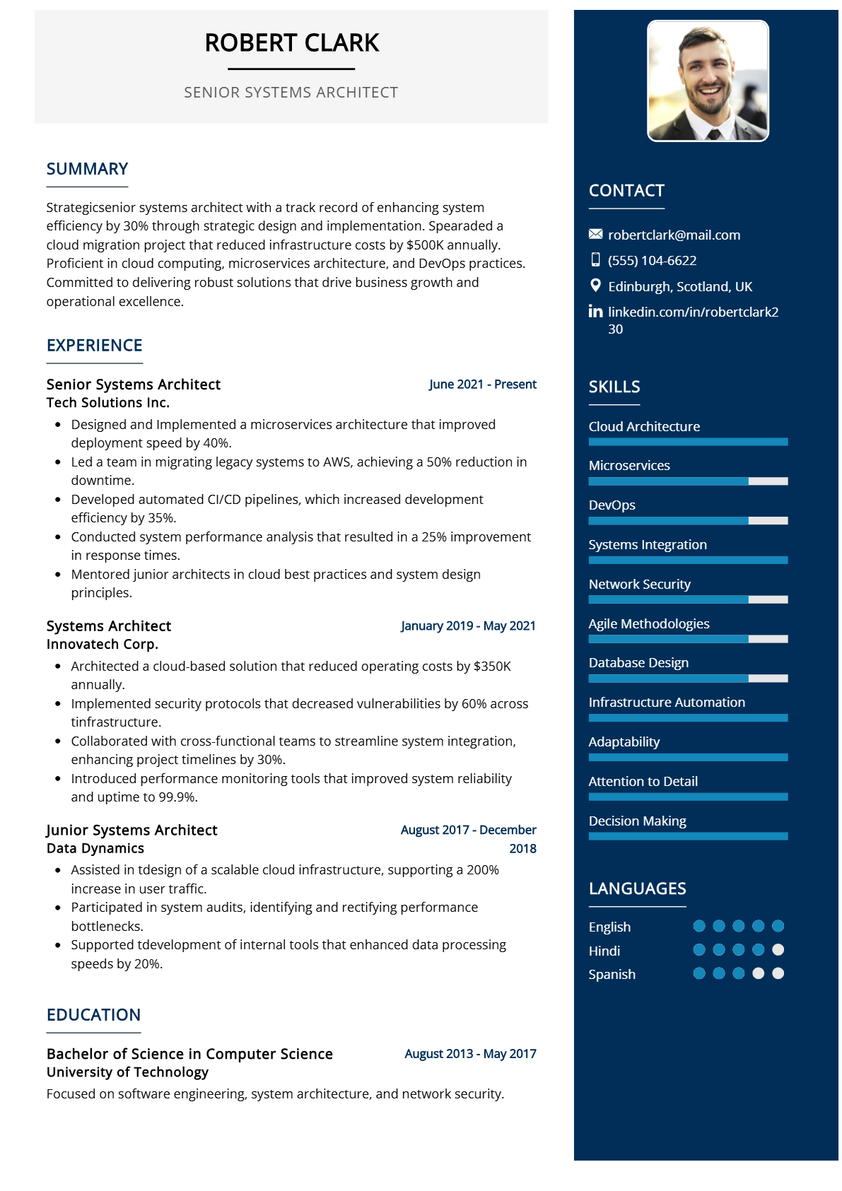 Senior Systems Architect Resume
