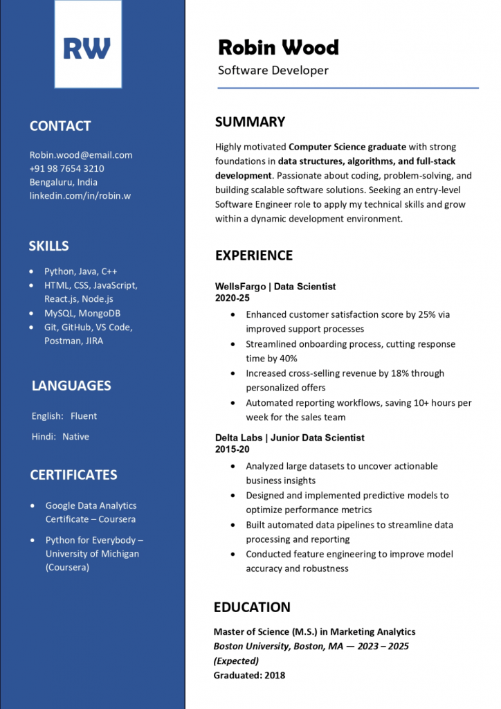 Professional CV Template