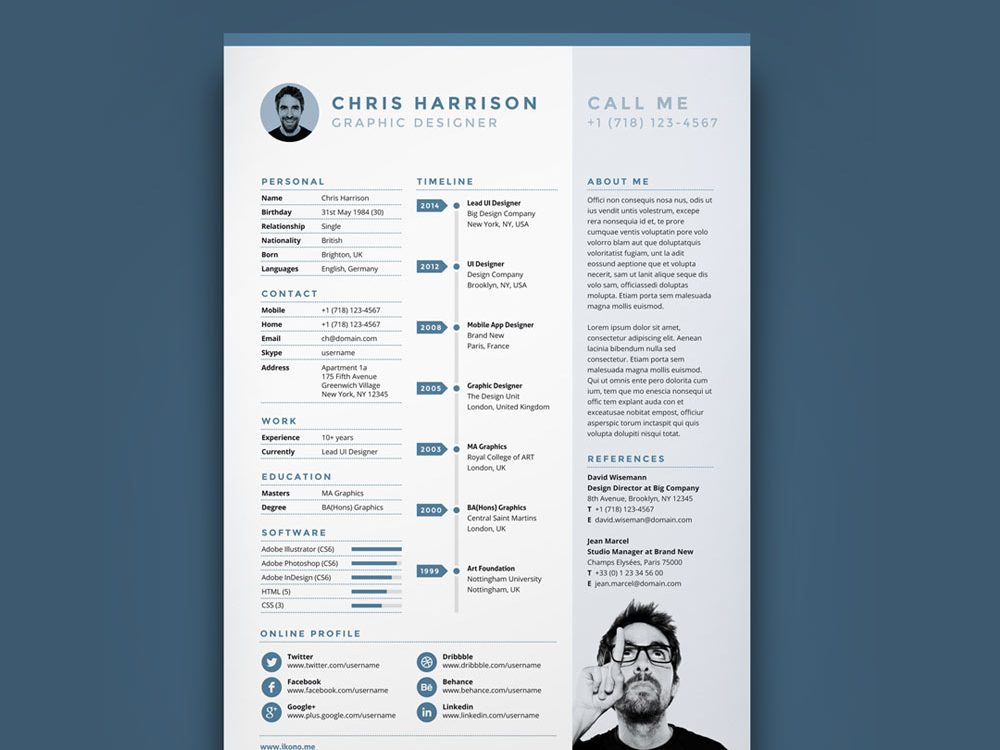 resume timeline infographic