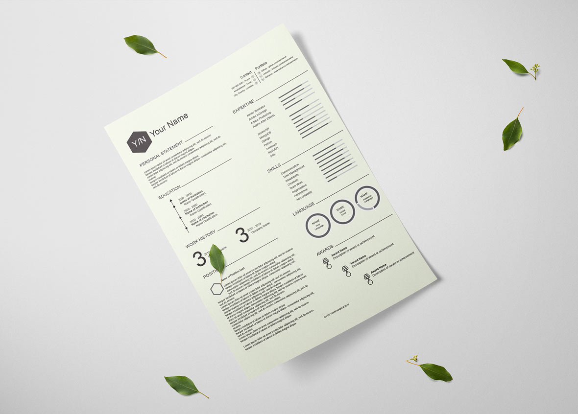 Adobe Illustrator Resume Template Free Download - ResumeKraft