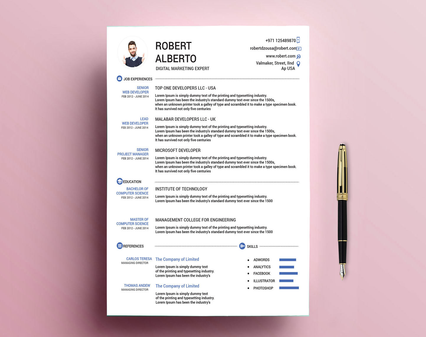 Classic Resume Template Free Download with Doc & PSD Formats in 2025 ...