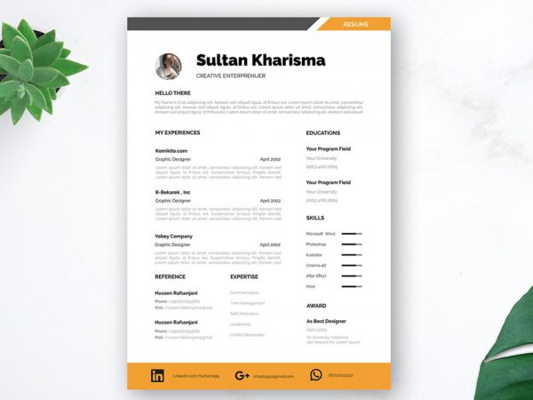Professional Free Resume Template