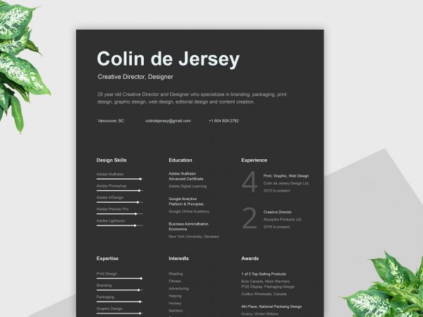 Dark Resume Template Free Download