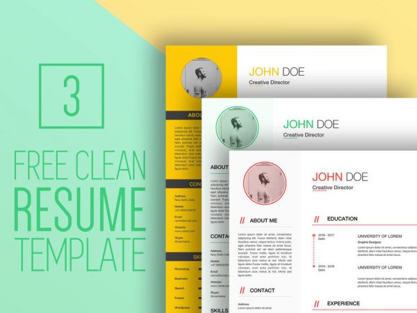 Clean Professional Resume Template