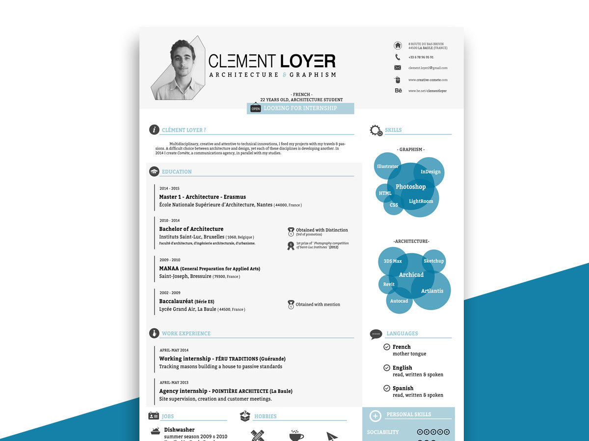 23+ Infographic Resume Templates and Design Tips to Land That Job Intended For Infographic Cv Template Free