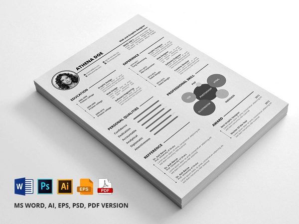 Best Free Infographic Resume Tempaltes Resumekraft