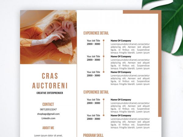 Indesign Resume Cv Template Free Download 2021 Resumekraft