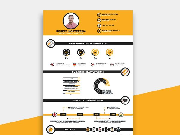 resume timeline infographic