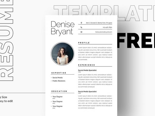 indesign minimalist resume template free download