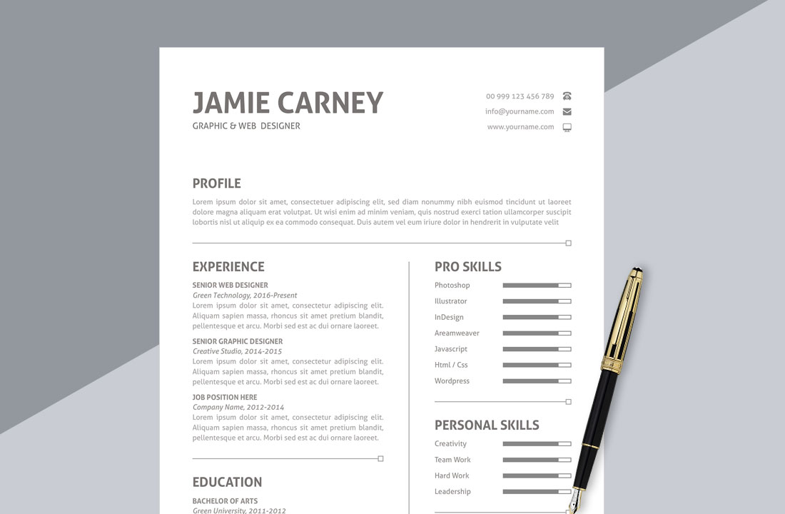 resume format in word download with photo