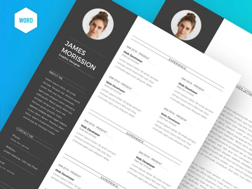 professional resume format in word