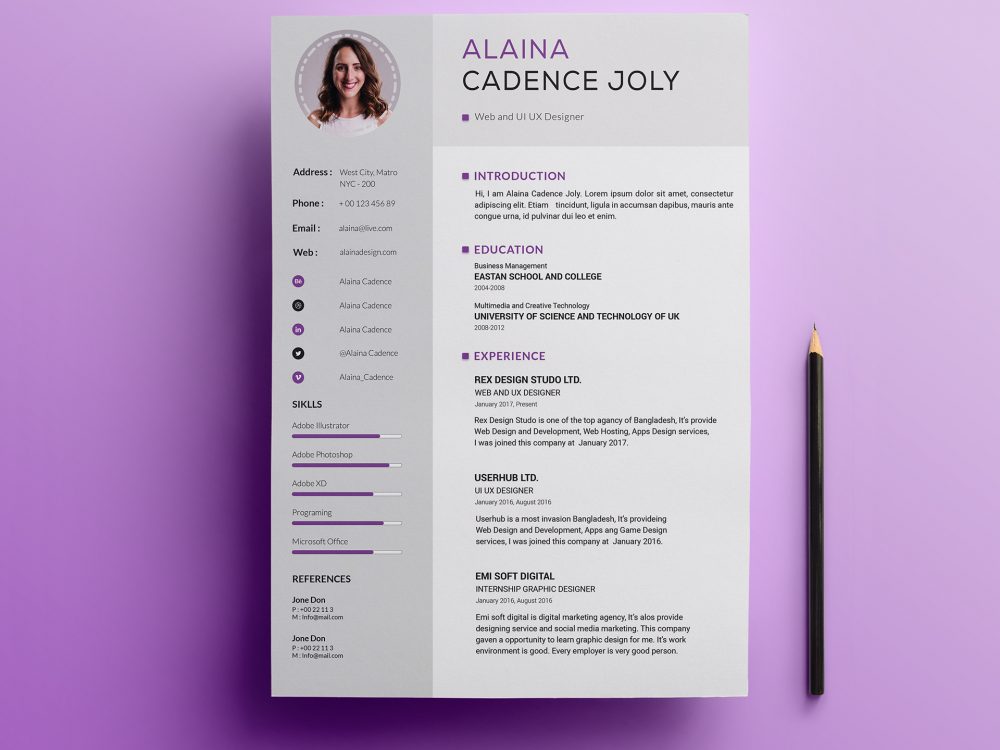 Clean Professional Resume Template Free