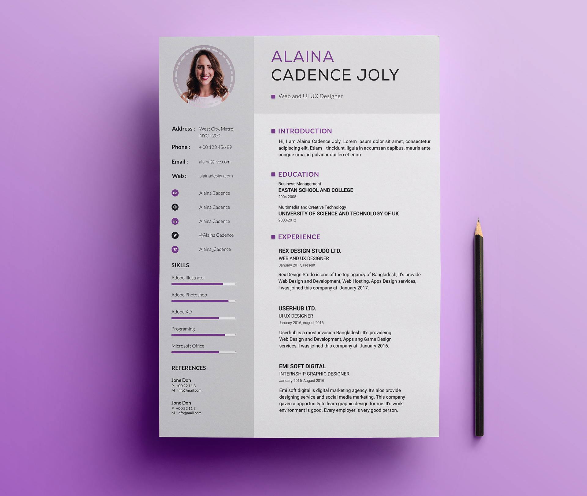 18+ Resume Template Professional PNG - Infortant Document