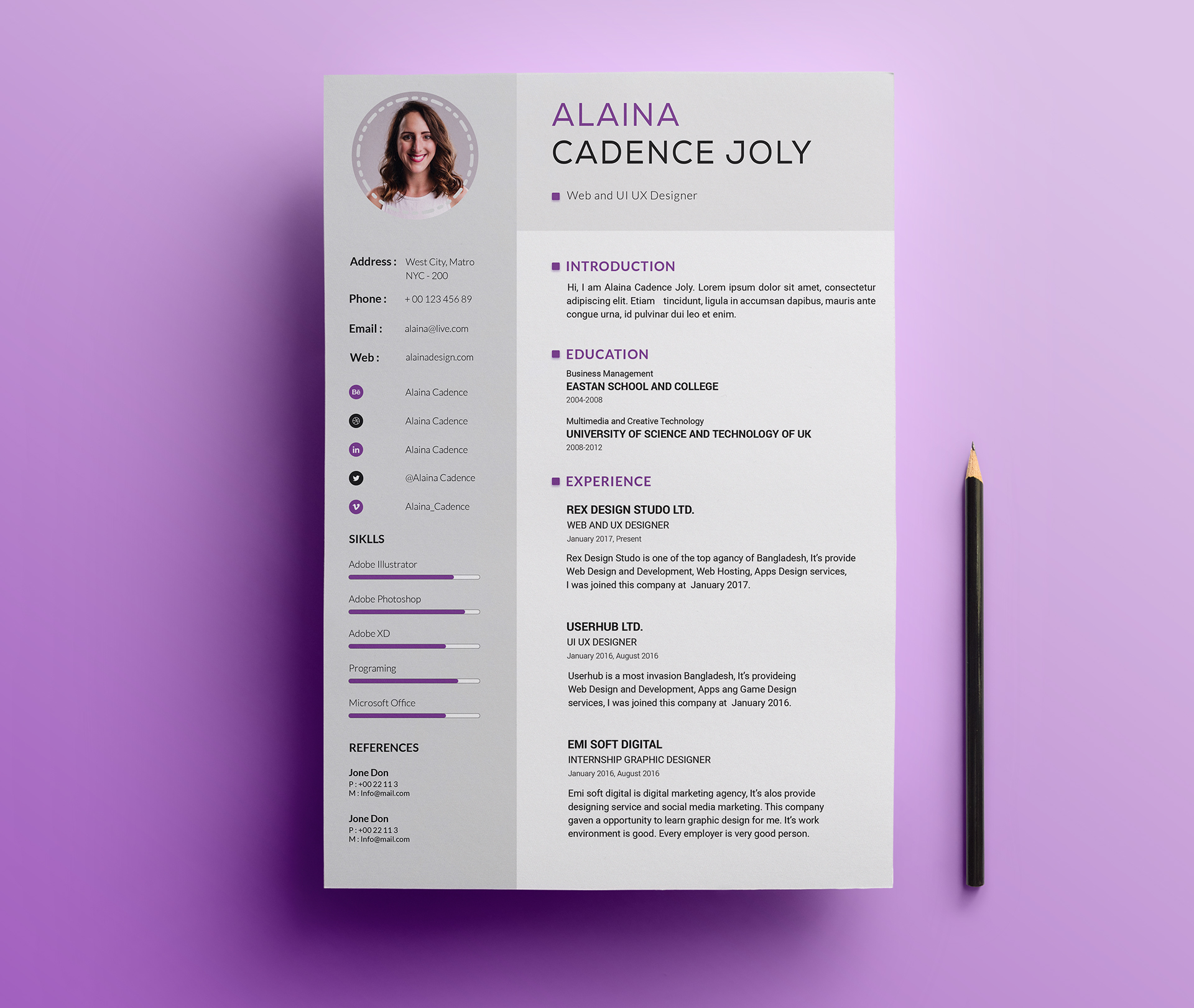 professional resume template free online