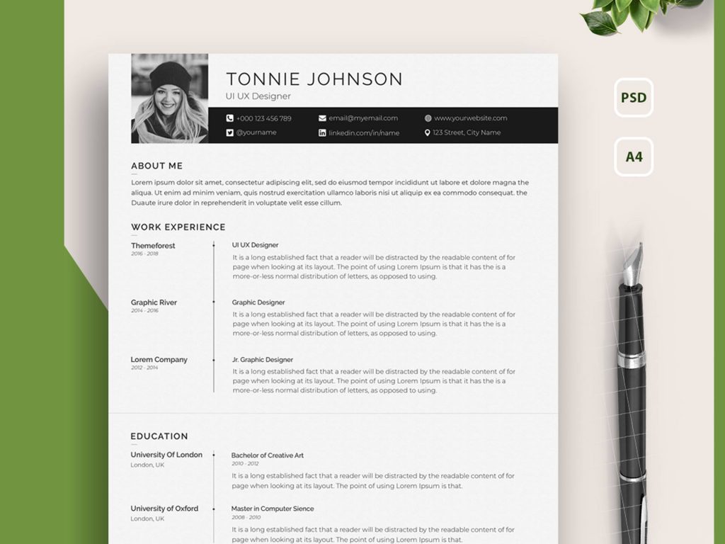 clean professional resume template