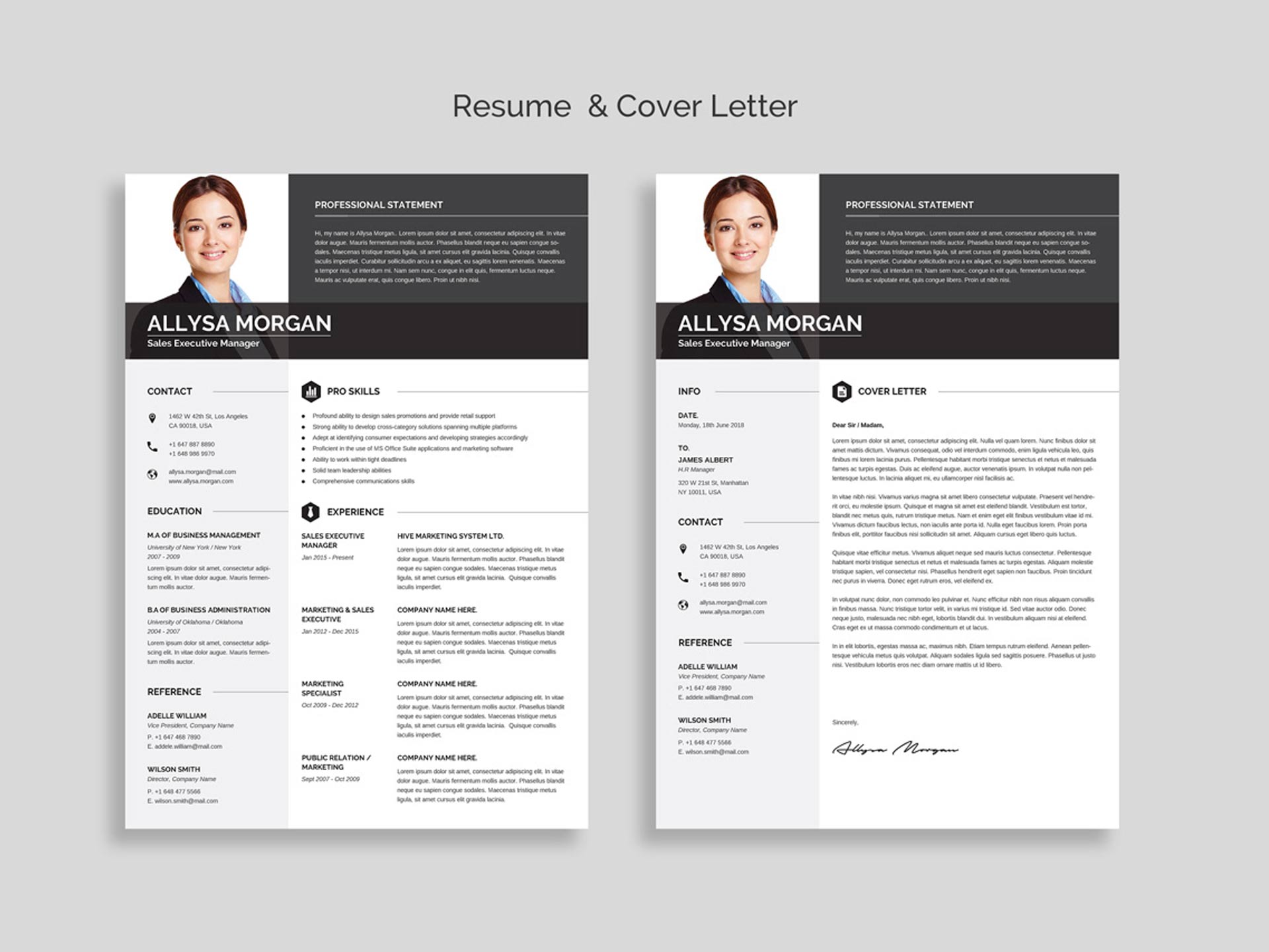 professional resume template word free download