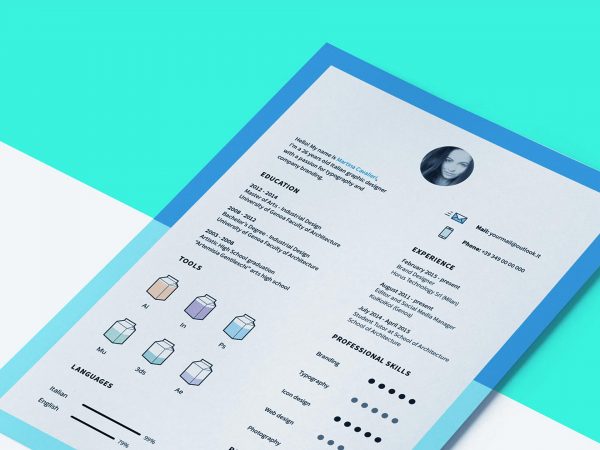 CV Template With Icons