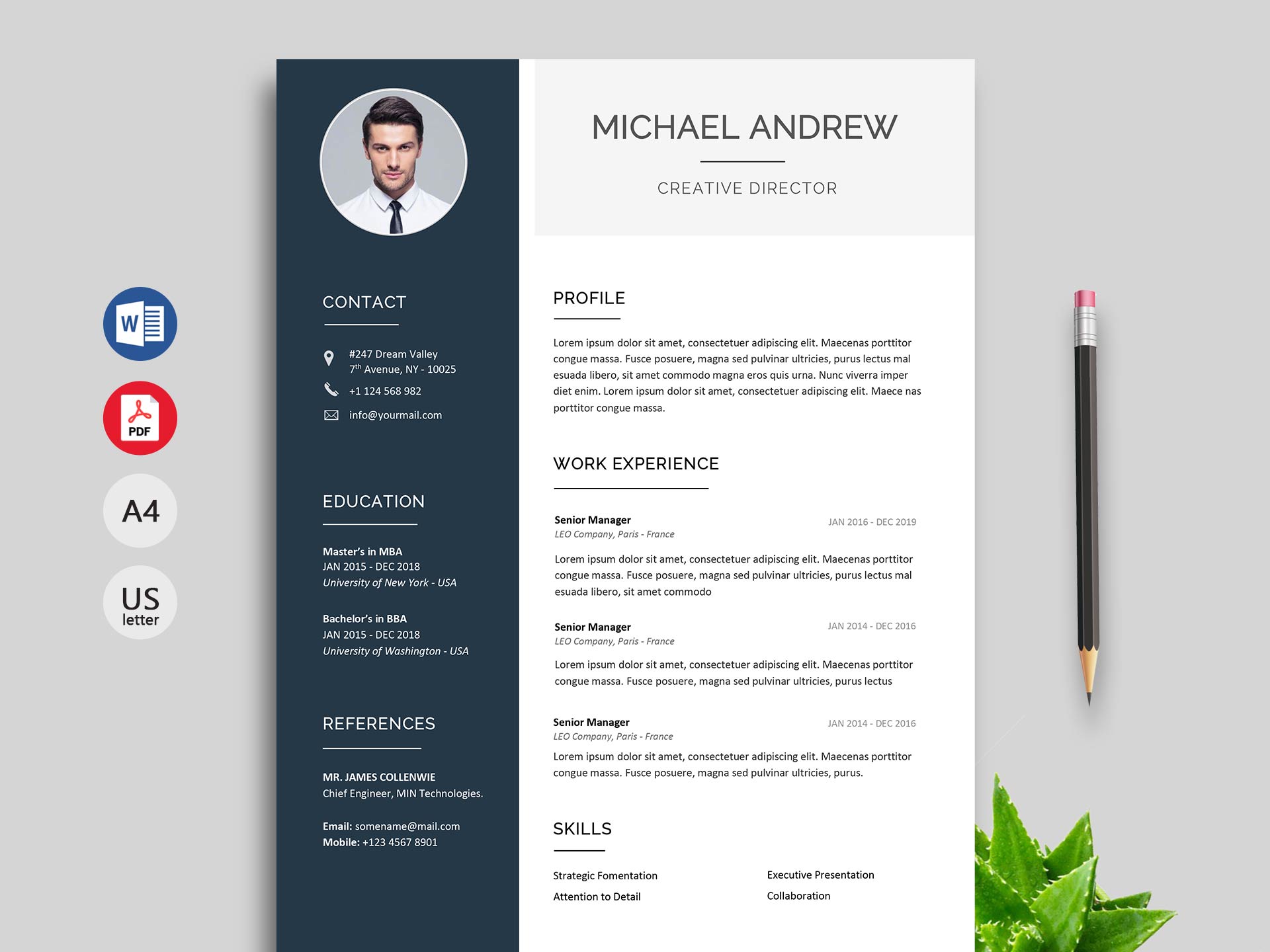 professional free resume word templates