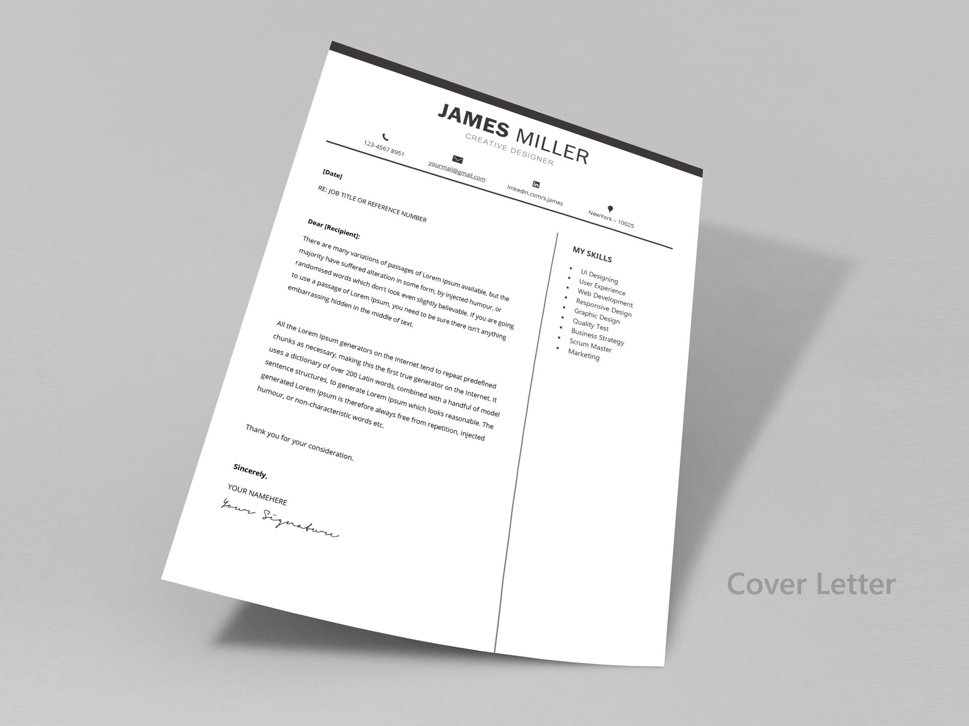 xpert-resume-template-3